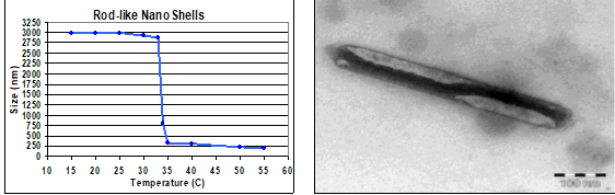nano-shell